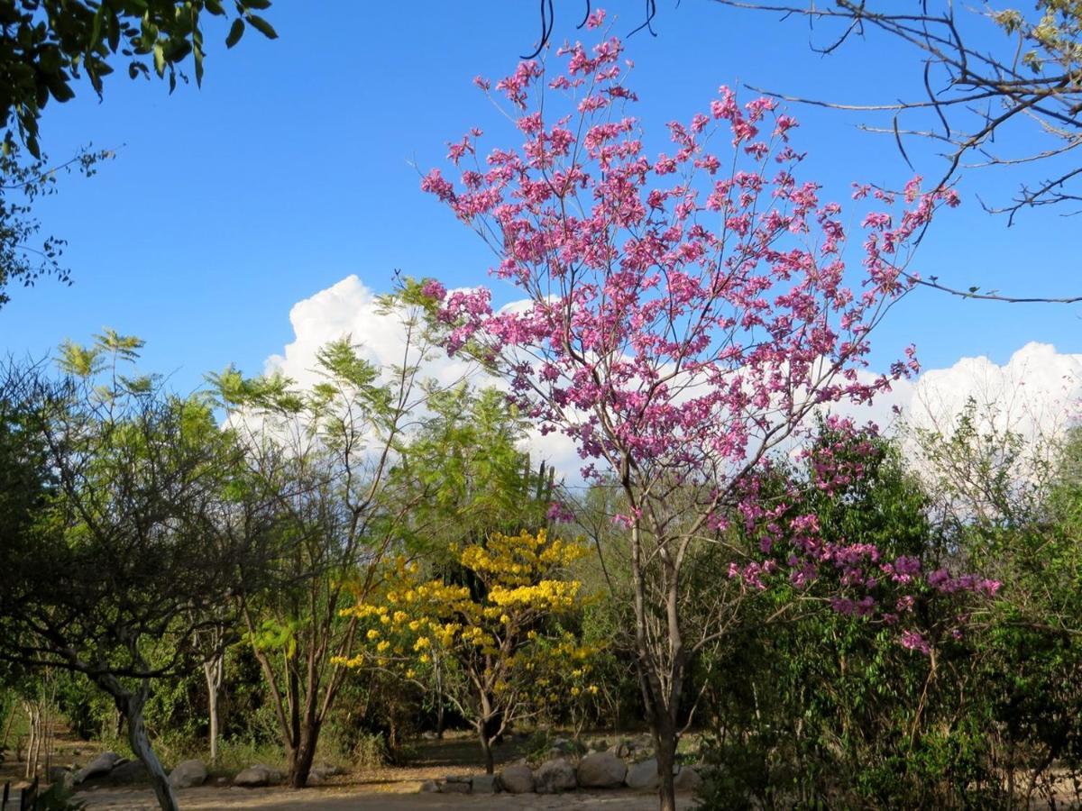 Álamos El Pedregal - Hotel En La Naturaleza מראה חיצוני תמונה