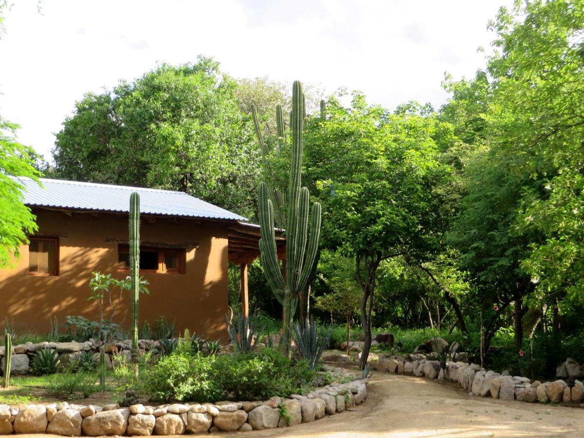 Álamos El Pedregal - Hotel En La Naturaleza מראה חיצוני תמונה