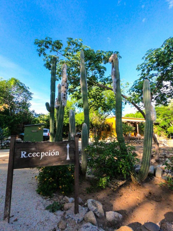 Álamos El Pedregal - Hotel En La Naturaleza מראה חיצוני תמונה